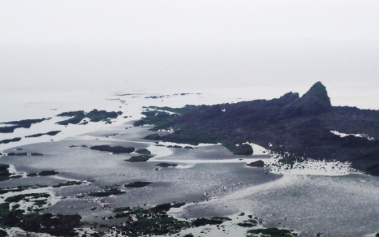 A walk by the pine trees, by the ocean