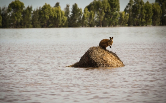 Past decade hottest on record, warming pace fastest: U.N.