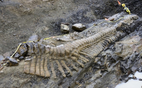 Huge dinosaur tail discovered