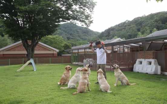 History of guide dogs for the blind