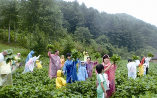 ‘Rural-20’ sheds light on Korea beyond Seoul