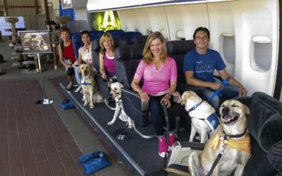 Hollywood studio teaches dogs how to fly