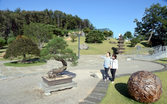 Paju getaway: a calming bonsai garden
