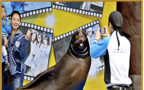 Seoul Zoo retires sea lion presentation