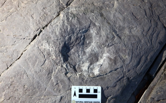 More than 80 dinosaur tracks found near Ulsan dam site