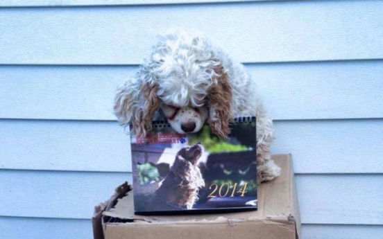 Calendar sale helps dog sanctuary