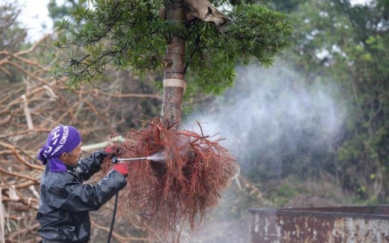 Japan’s ‘Tree Town’ sculptors make living art