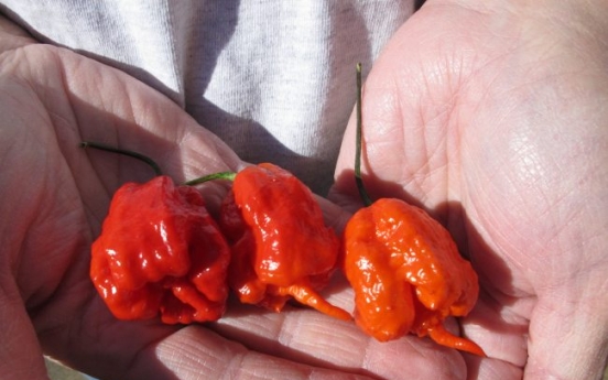 World’s hottest pepper is grown in U.S.