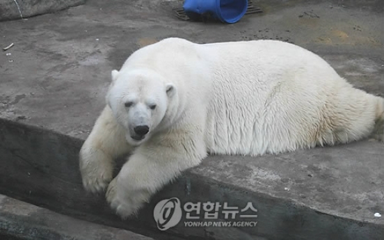 북미 한파에 동물원 북극곰도 덜덜덜