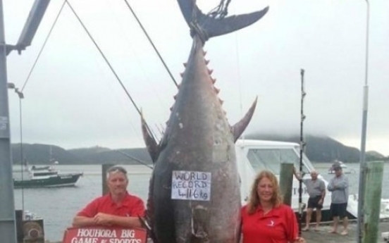 411.6kg 초대형 참치, 21억짜리 팔수 없는 속 사정