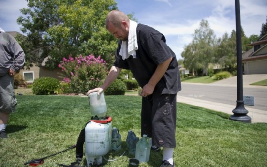 Lawn painters keep green in season amid California drought