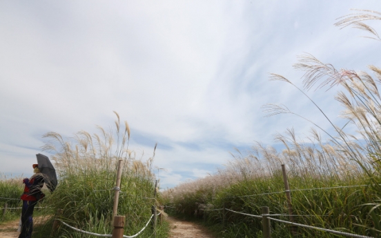 (Photo News) Road to autumn