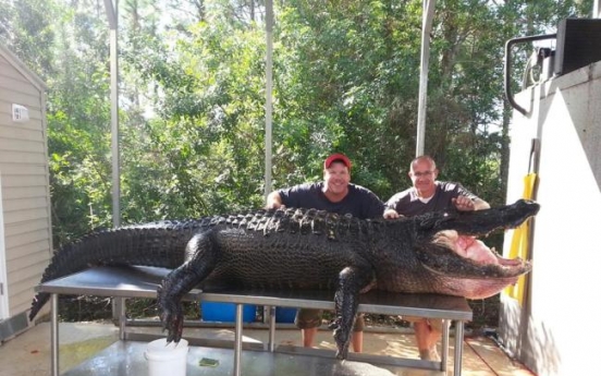 340kg 괴물 악어, 맨손으로 때려잡은 두 남성 화제