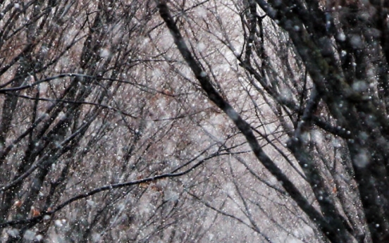 (Photo News) Snowfall in park