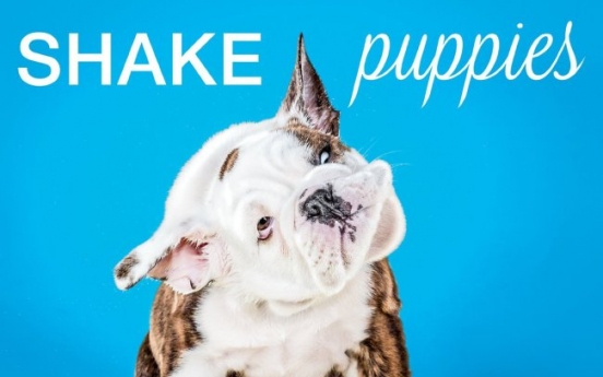 Puppies shake for memorable photos