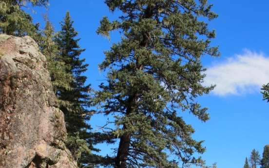 Hike, soak in a natural hot spring in New Mexico’s funky Jemez area