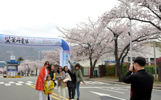 (Photo News) Cherry Blossoms