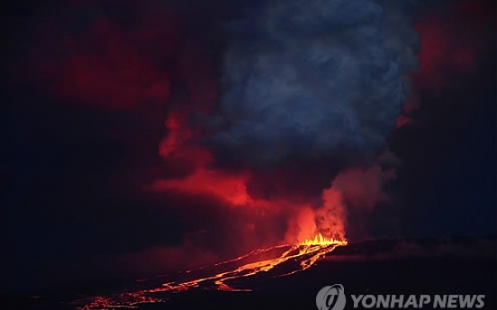 갈라파고스 '울프 화산' 33년 만에 폭발