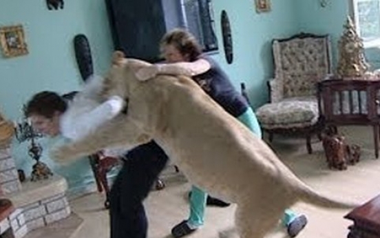 거대 사자, 인간 습격 영상 ‘충격’