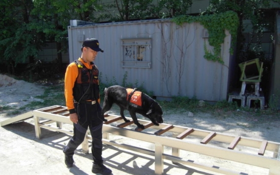 [Weekender] Dogs are colleagues to emergency rescue workers