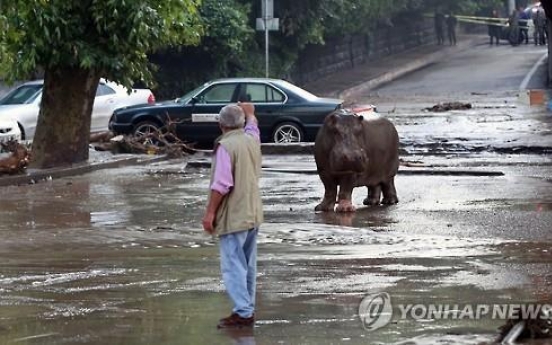 동물원 맹수 대거 탈출 ‘비상’…사육사 등 사망