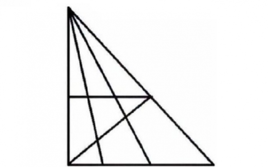 삼각형 18개 이상 찾으면 천재?
