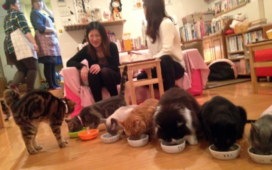 Cat cafes become cultural export