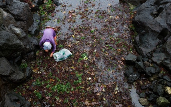 Japan to double imports of Korean-made dried seaweed