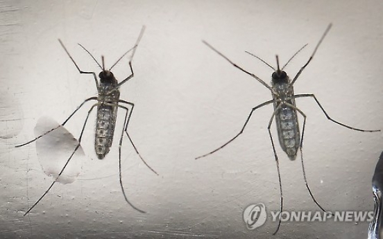 한국 첫 지카바이러스 환자 발생…전남 거주 40대 男