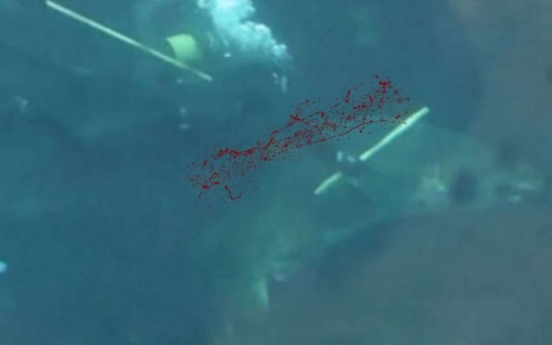 거대 상어, 아쿠아리움 잠수부 공격...‘충격’