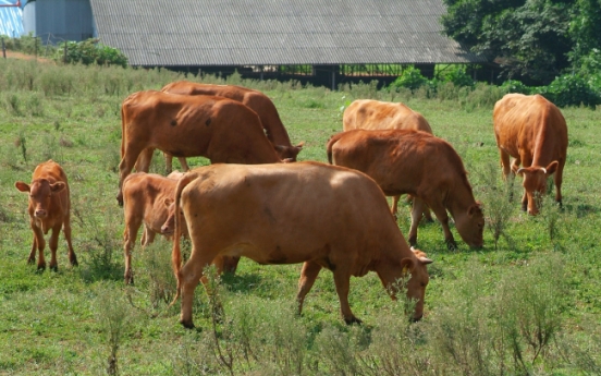 Korean beef prices continue to climb