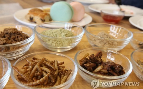 Korea seeks to foster insect industry