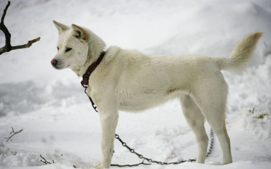 Animals signify compassion, altruism in Korean folklore