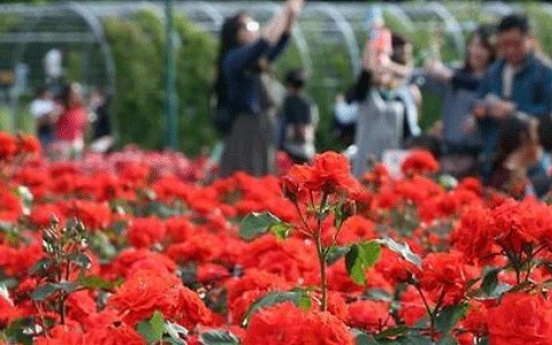 Largest rose festival to open in Ulsan