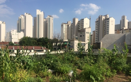 [Weekender] Growing crops on rooftops