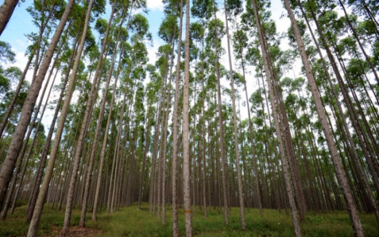 Korea‘s overseas afforestation makes progress