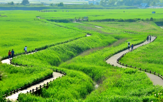 Nestled in greenery, Suncheon offers look into the past