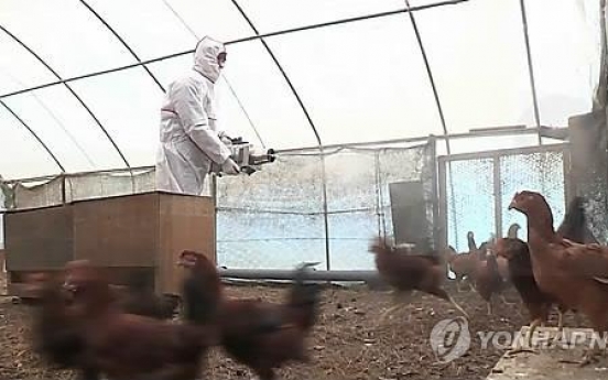 Korea to declare itself bird flu-free this week