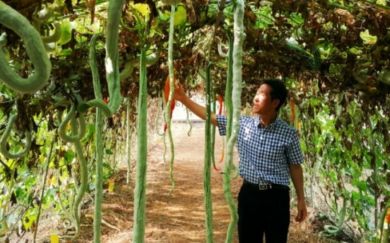 Korea preps for climate change with tropical fruits