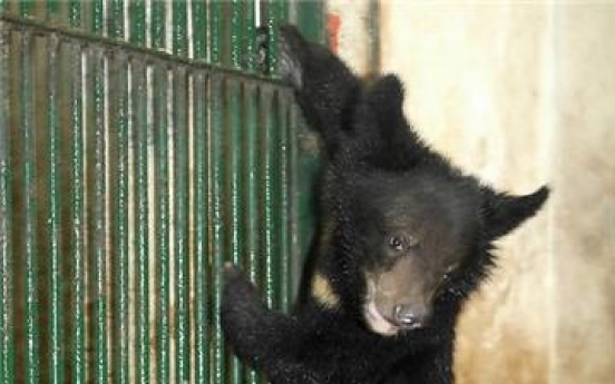 Asiatic black bear from N. Korea on 1st animal exchange program dies