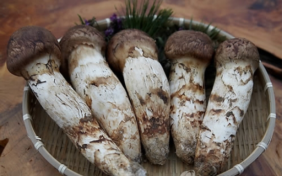 N. Korean 'songi' mushrooms distributed as Chinese ones in S. Korea: report