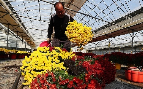 Anti-graft law hits flower sales hard