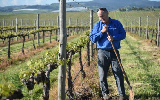 Climate change battle heats up for Australian winemakers