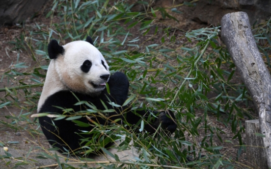 DC panda fans bam-boo-hoo as US-born cub leaves for China