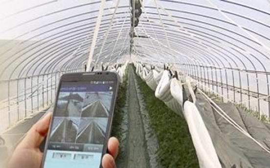 Youth, smart tech reshaping Korea's farming industry