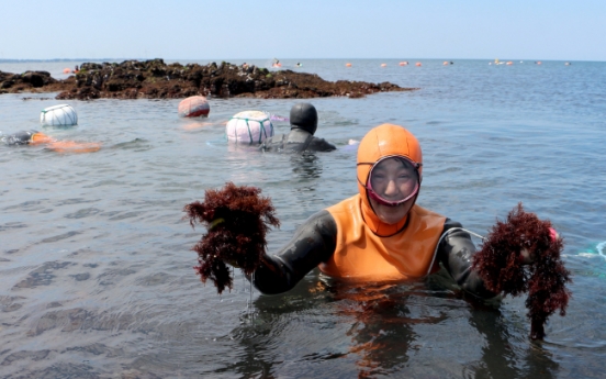 Jeju’s female diving culture gets heritage listing