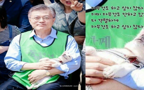 文의 ‘개편한 세상’ 강아지 근황