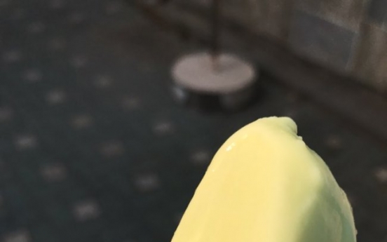 Frozen fly found in Binggrae ice cream: consumer