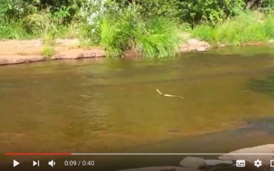 (영상) 펠프스 ‘빙의한’ 방울뱀