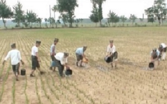 Drought hits N. Korean breadbasket hard